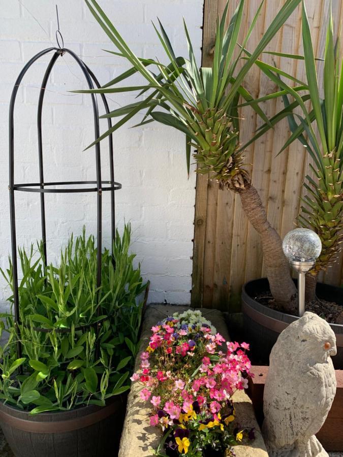 Oriel Cottage Pevensey Luaran gambar